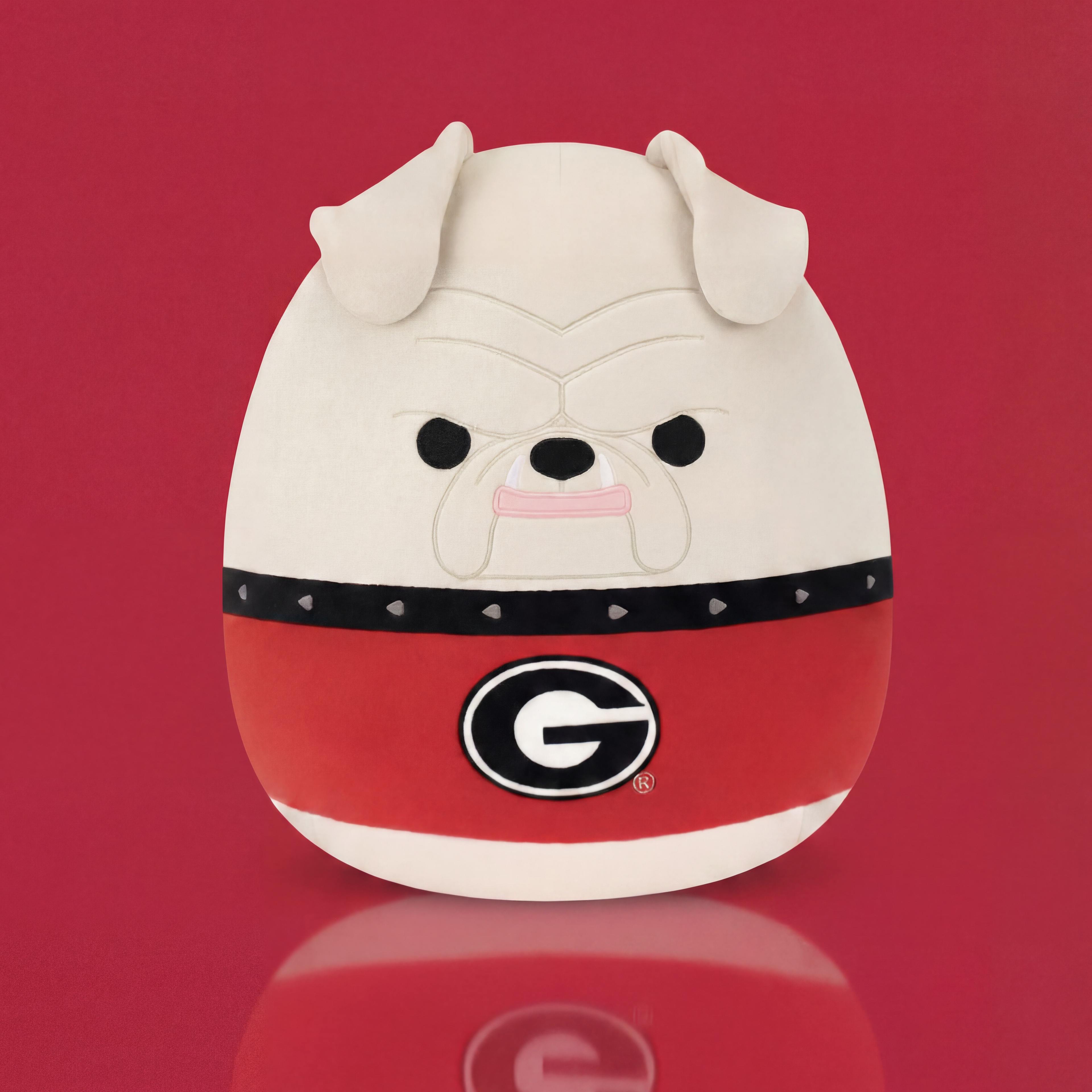 University of Georgia 12-Inch Hairy Dawg
