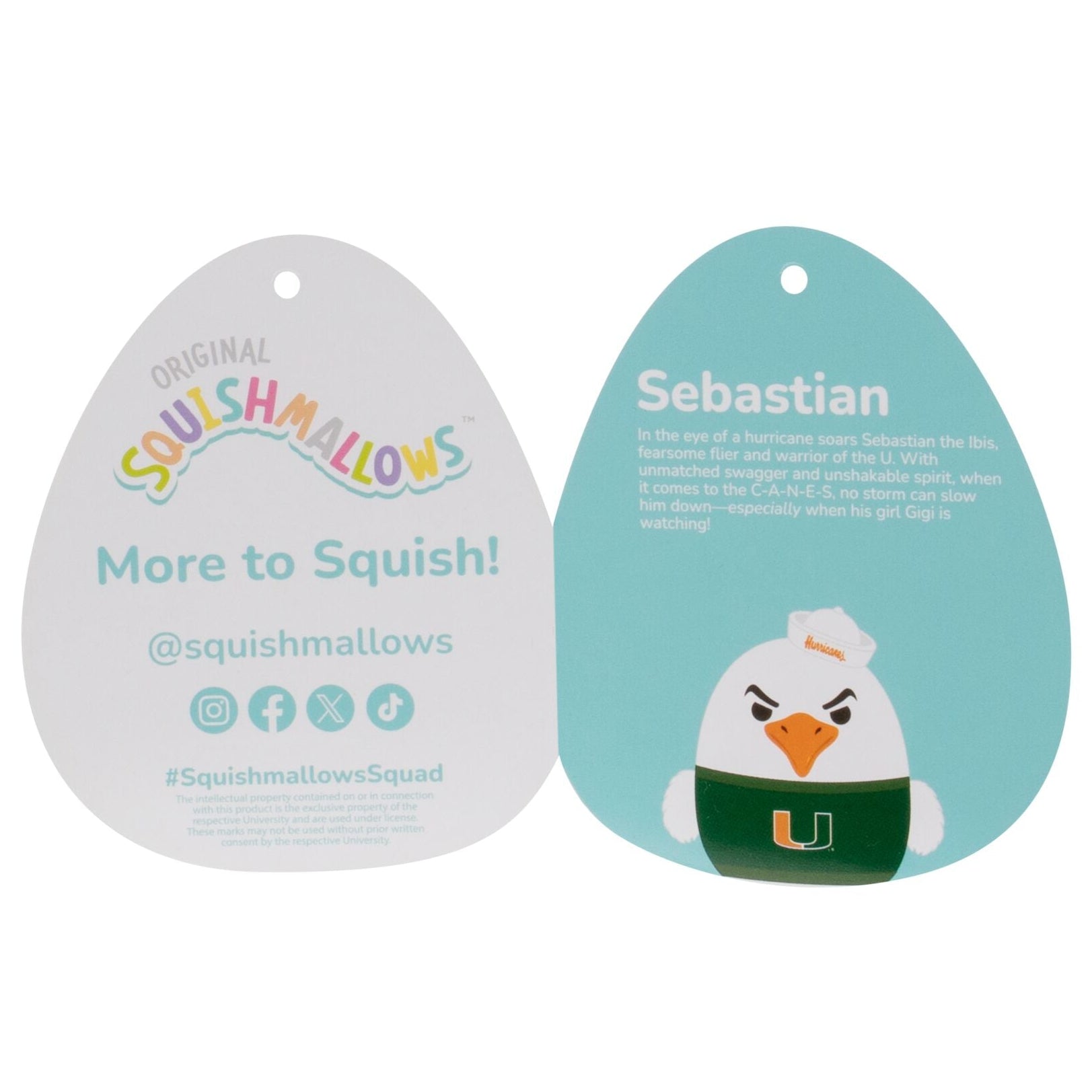 University of Miami 12-Inch Sebastian the Ibis