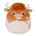University of Texas 12-Inch Bevo XV
