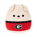University of Georgia 12-Inch Hairy Dawg