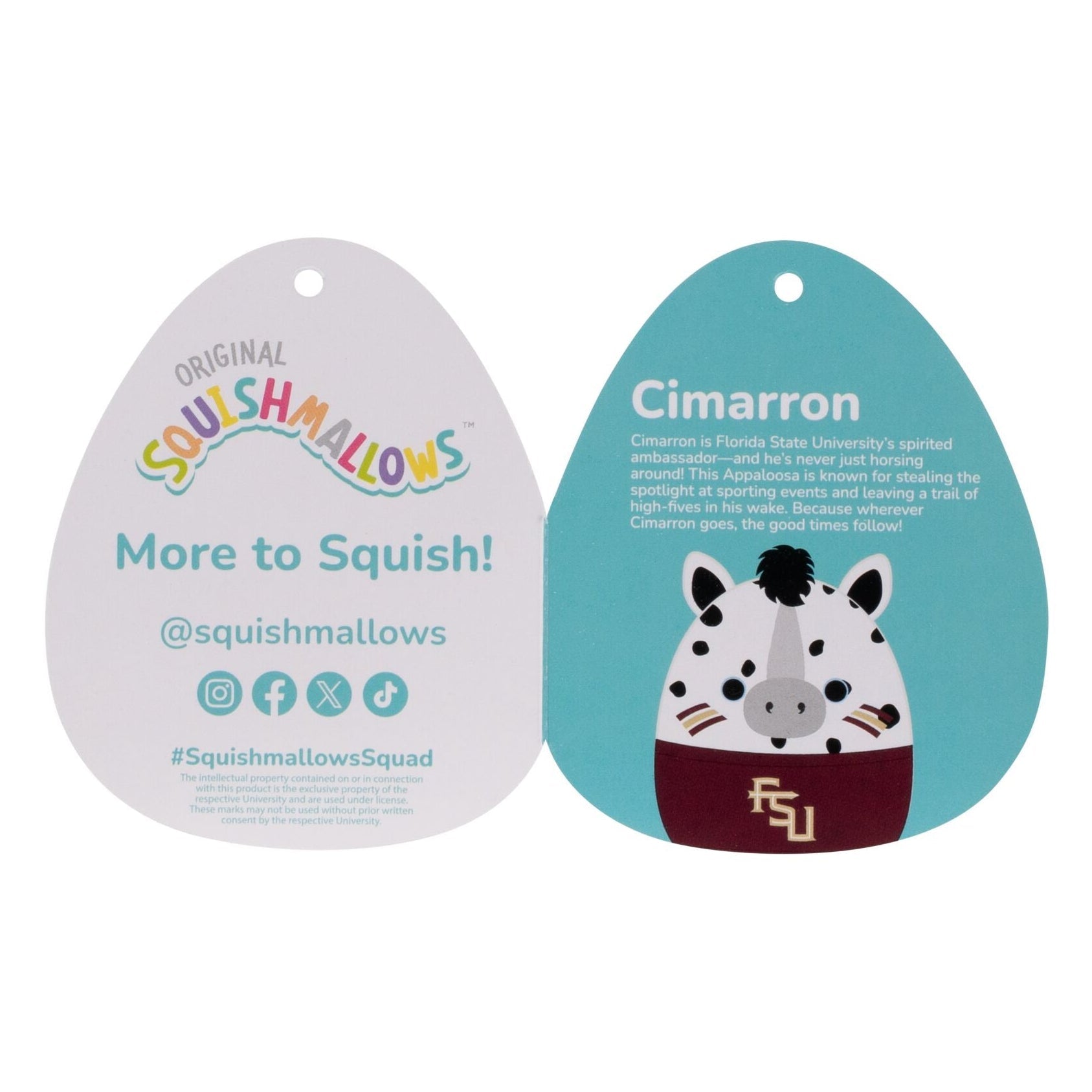 Florida State University 12-Inch Cimarron