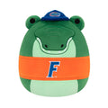 University of Florida 12-Inch Albert