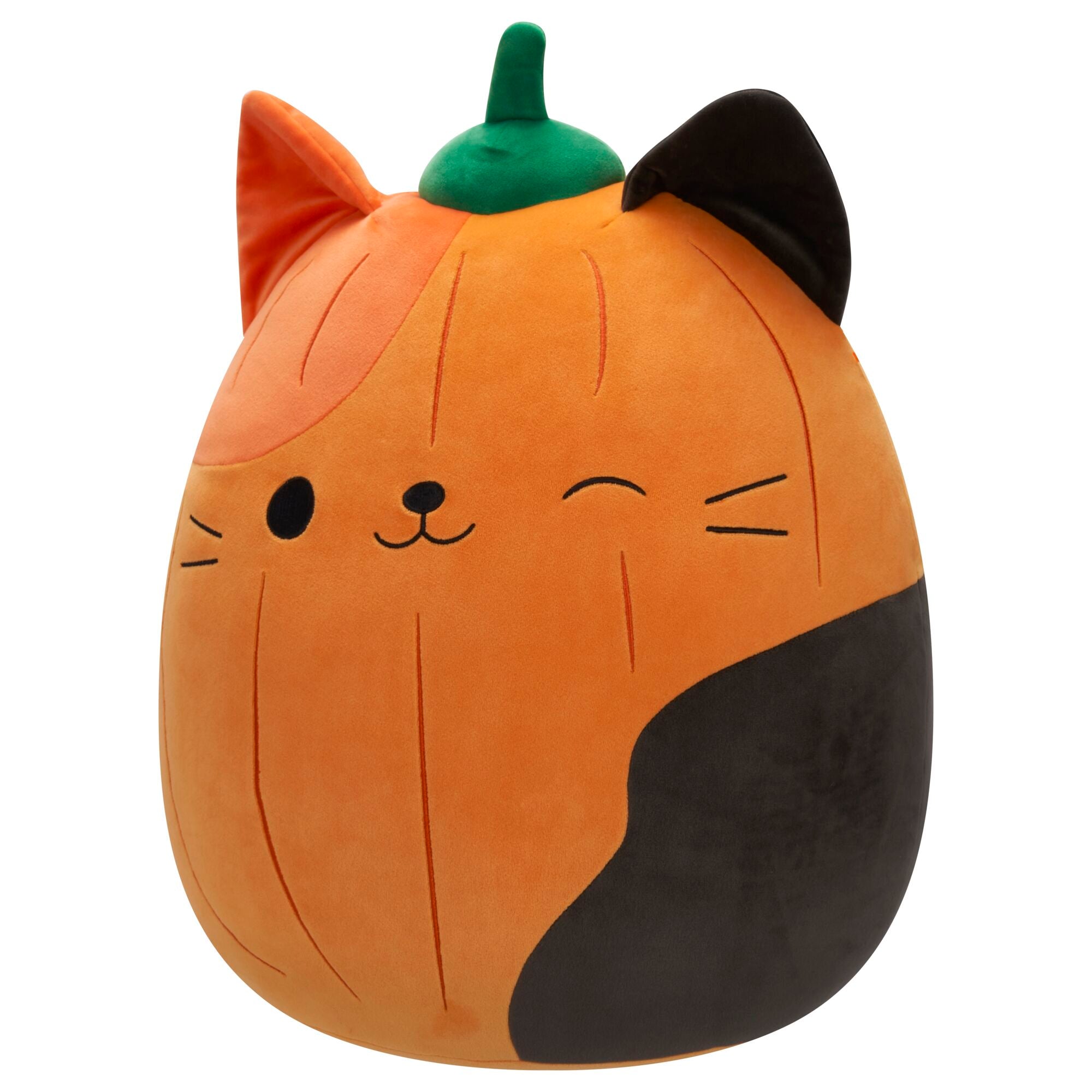 Pumpkin Cam