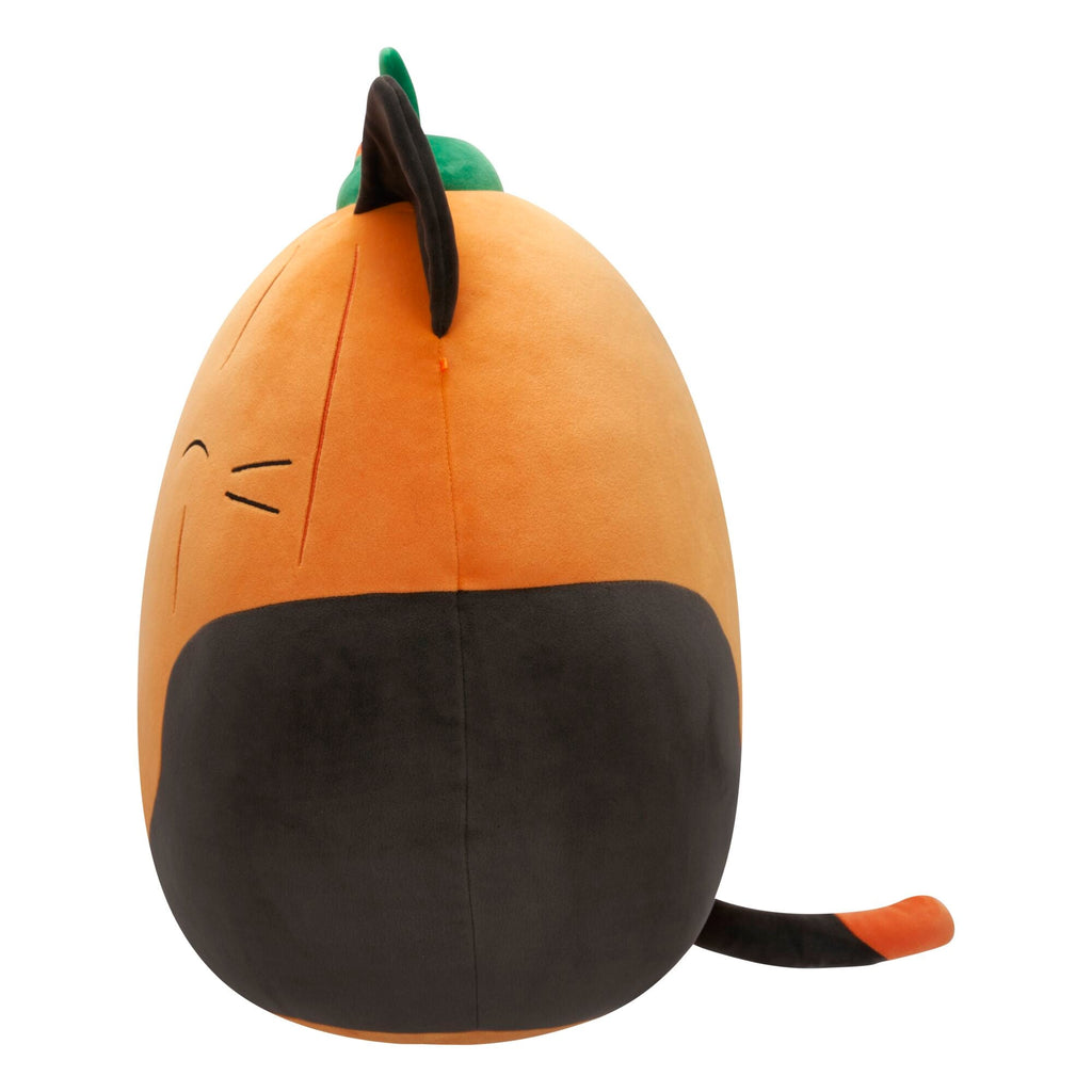 Pumpkin Cam