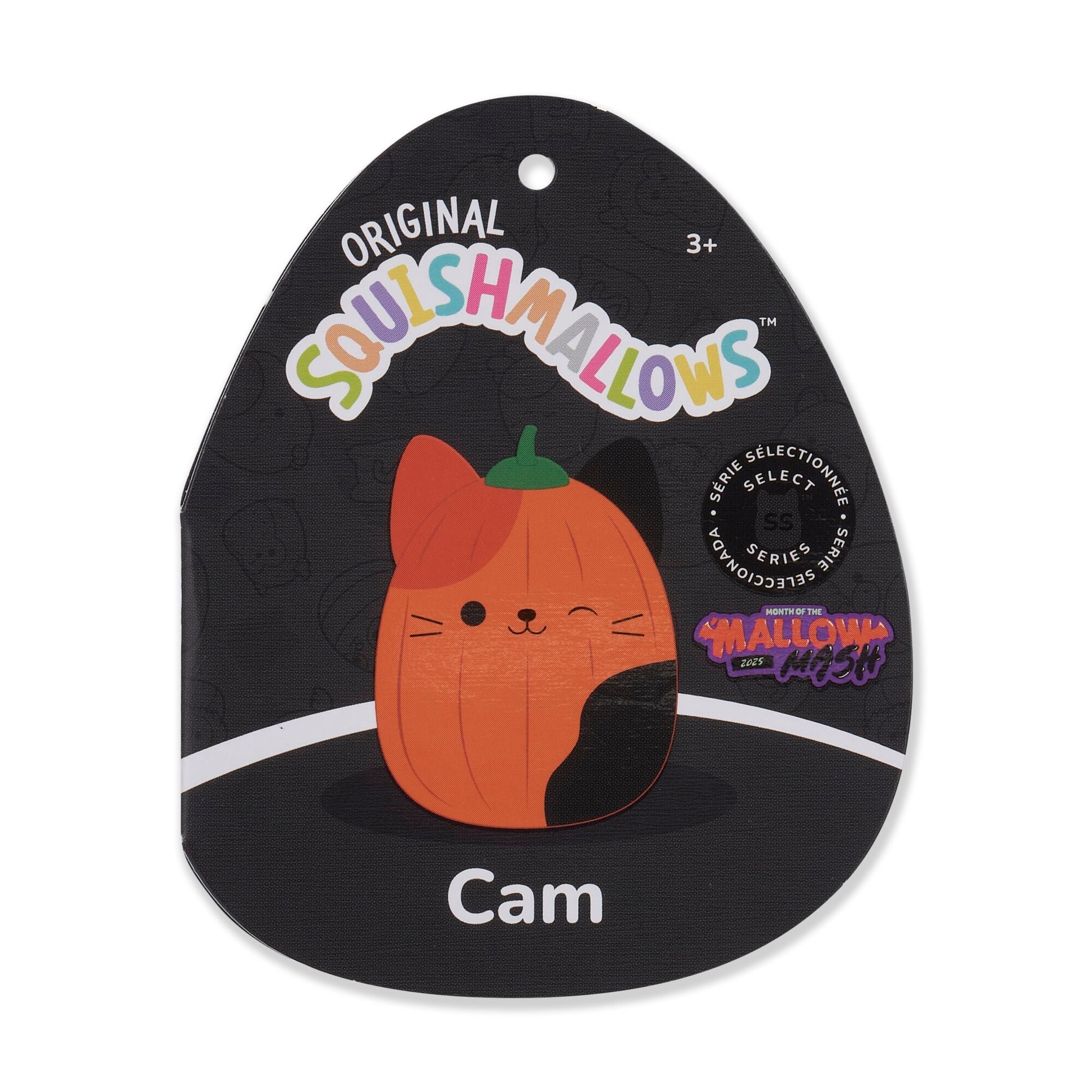 Pumpkin Cam