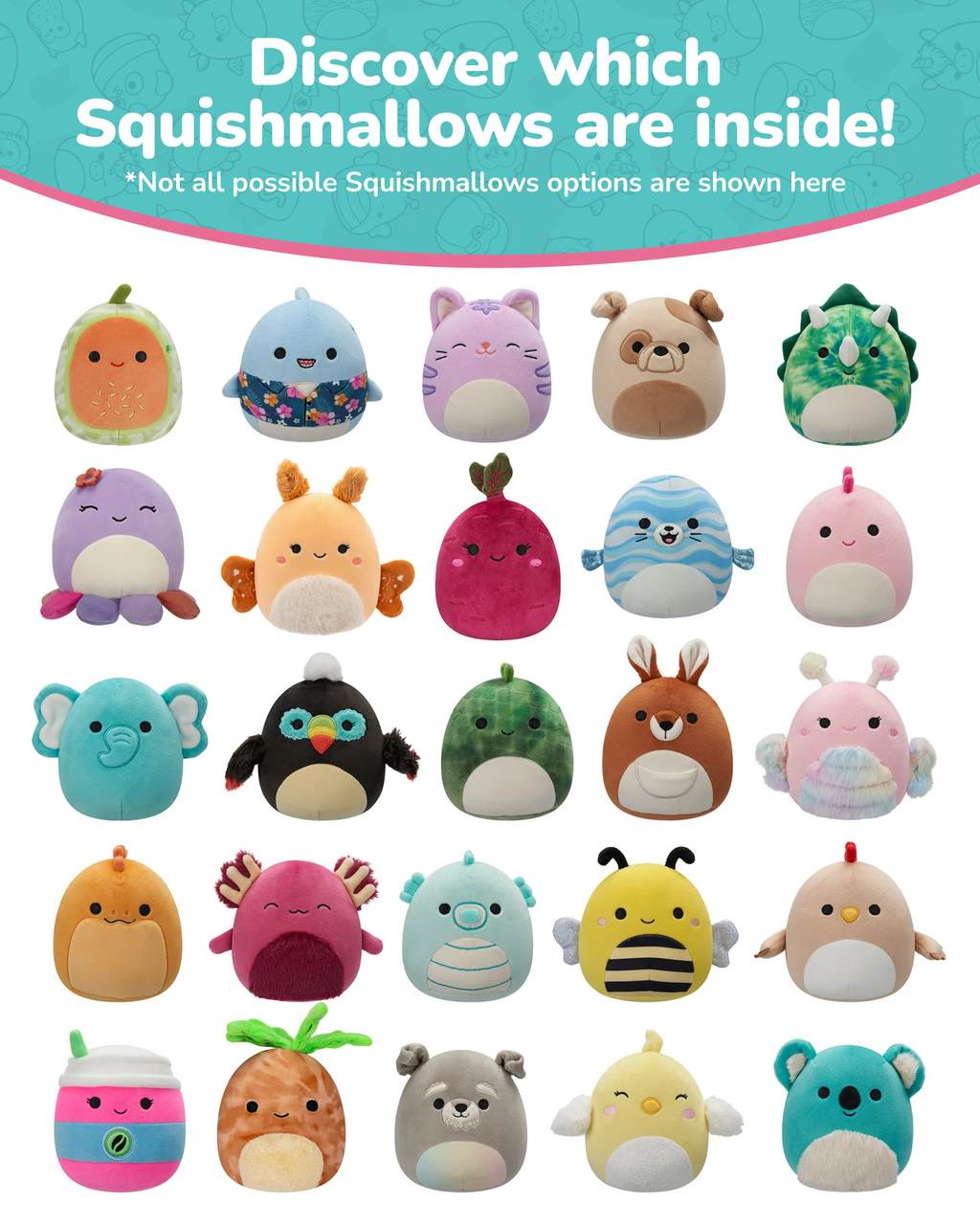 5-Inch Mystery 5 Pack