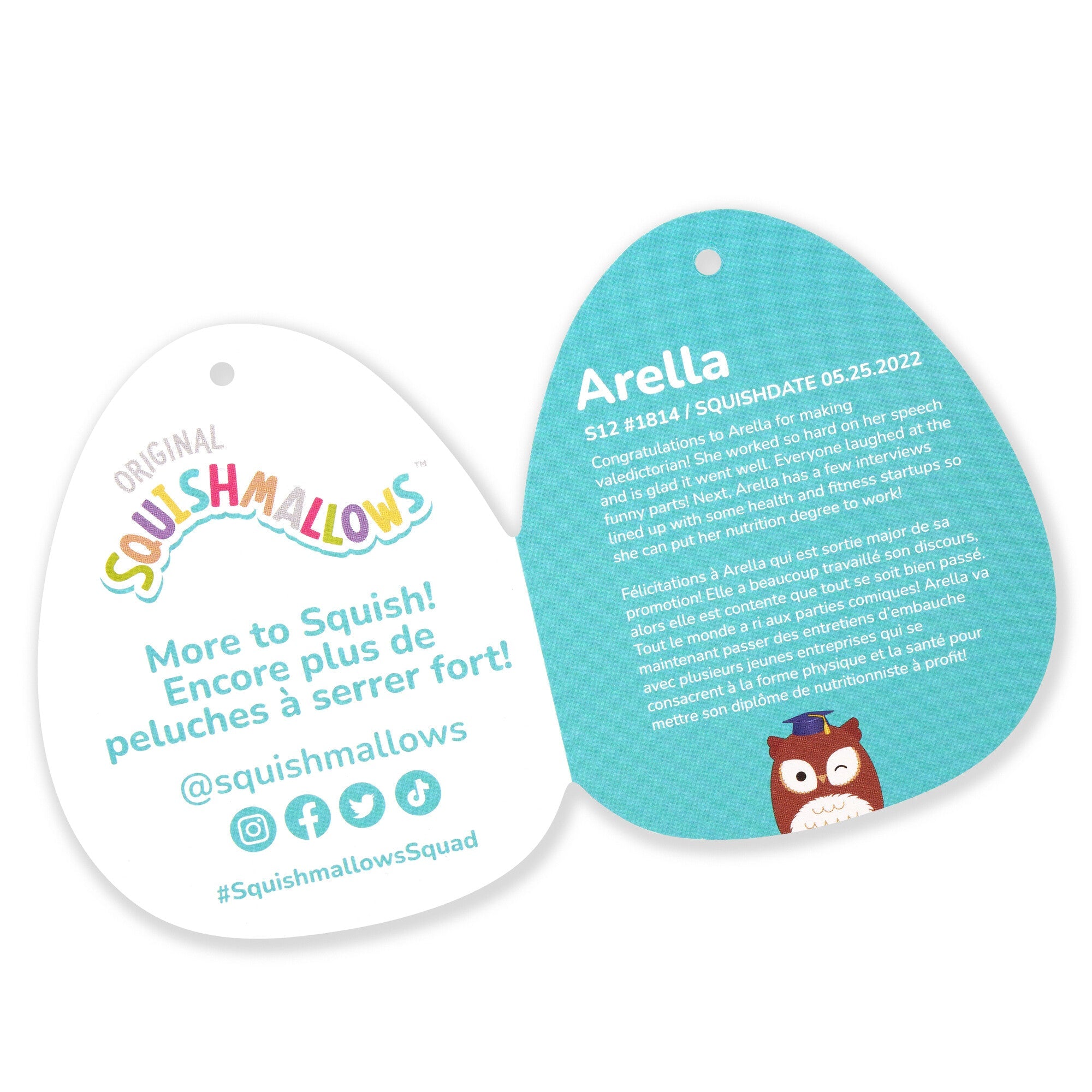 12-Inch Arella the Brown Owl in Graduation Cap