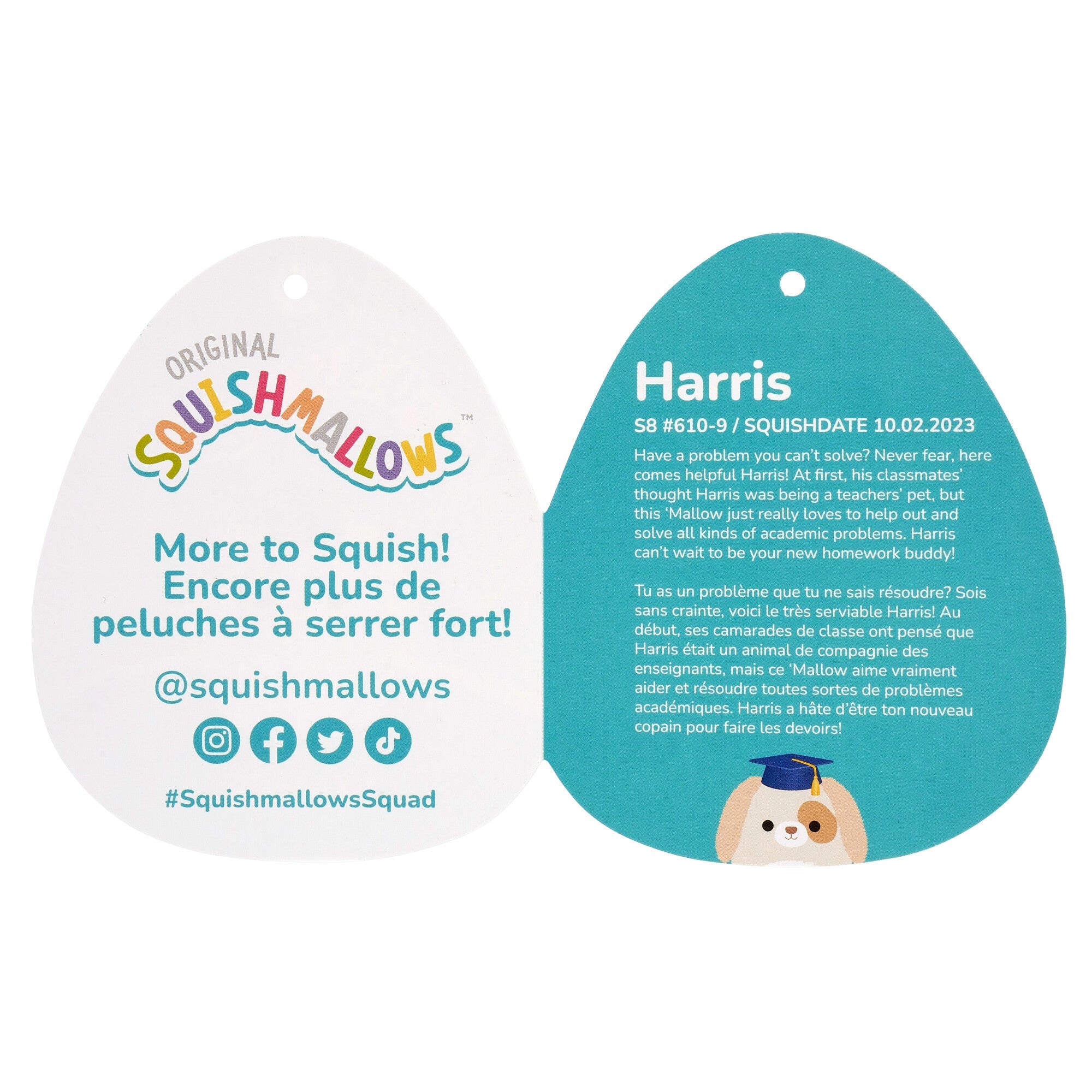 8-Inch Harris the Brown Spotted Dog in Graduation Cap