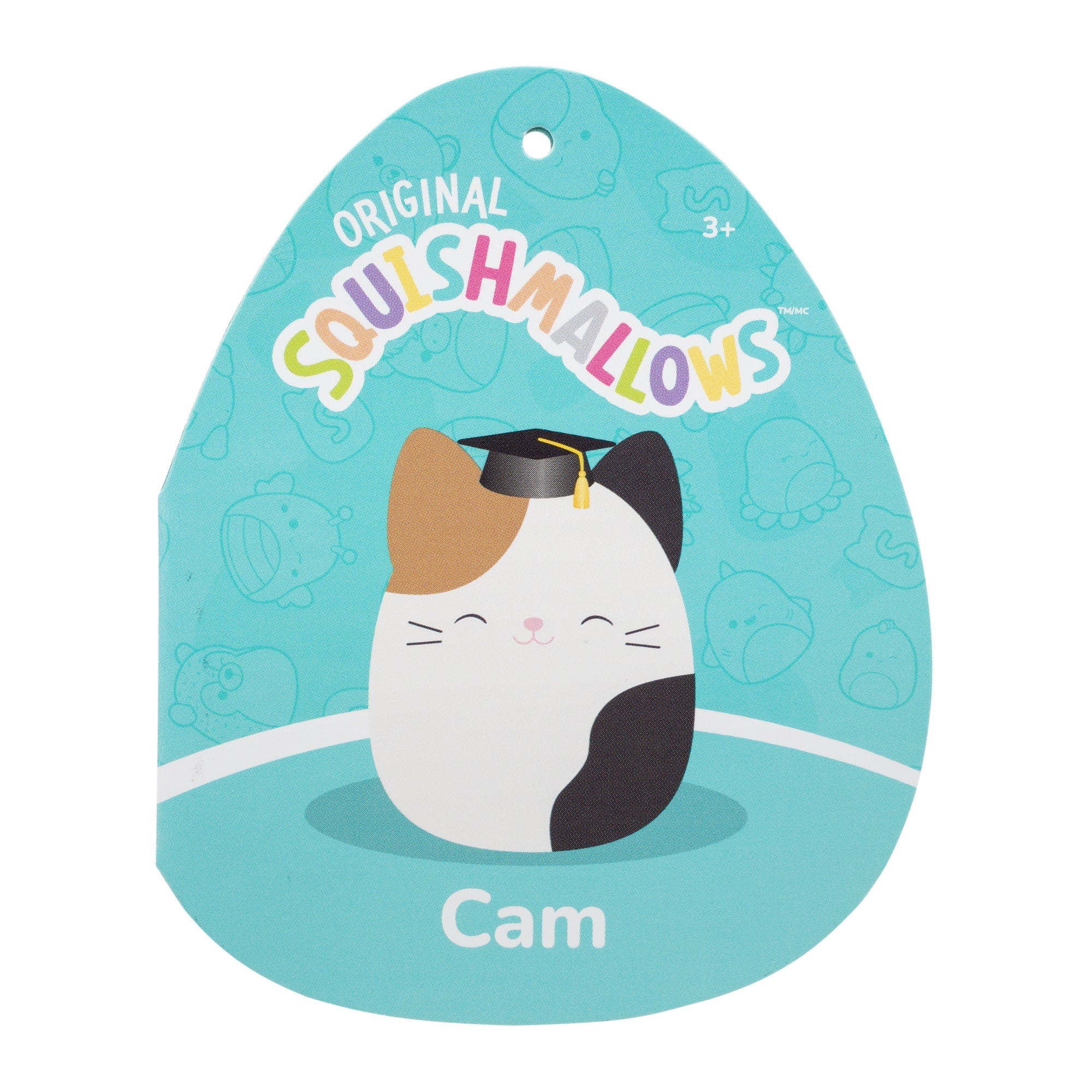 12-Inch Cam the Calico Cat in Graduation Cap
