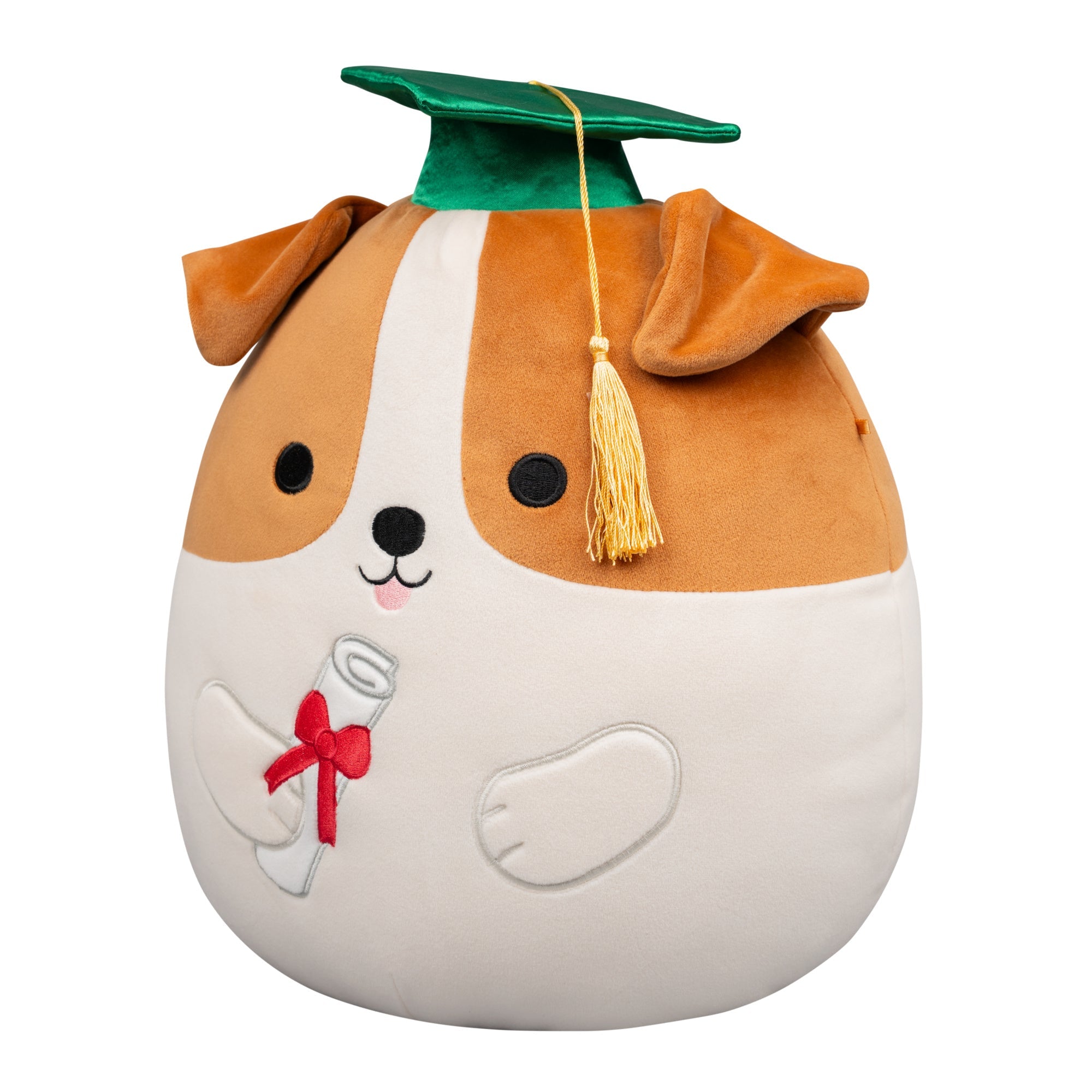 12-Inch Brenden the Jack Russell Terrier in Graduation Cap