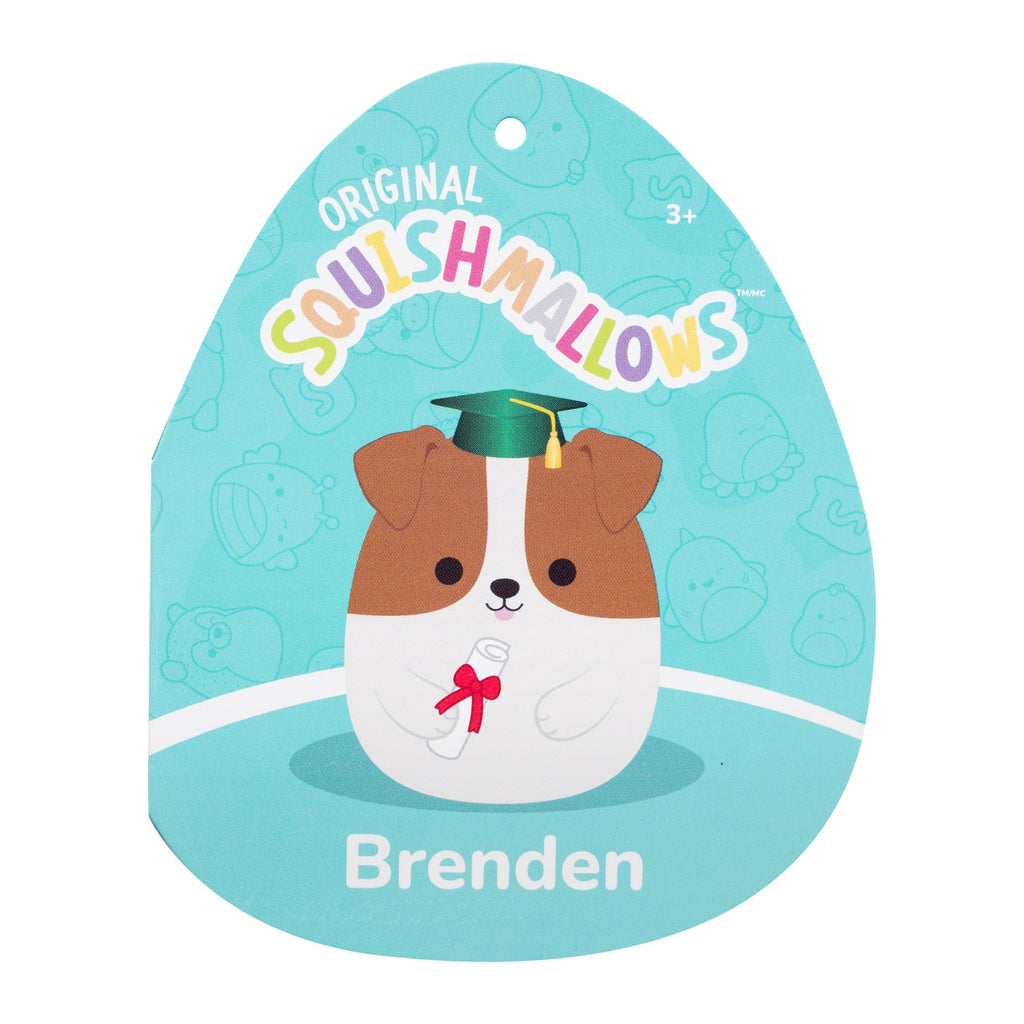 12-Inch Brenden the Jack Russell Terrier in Graduation Cap