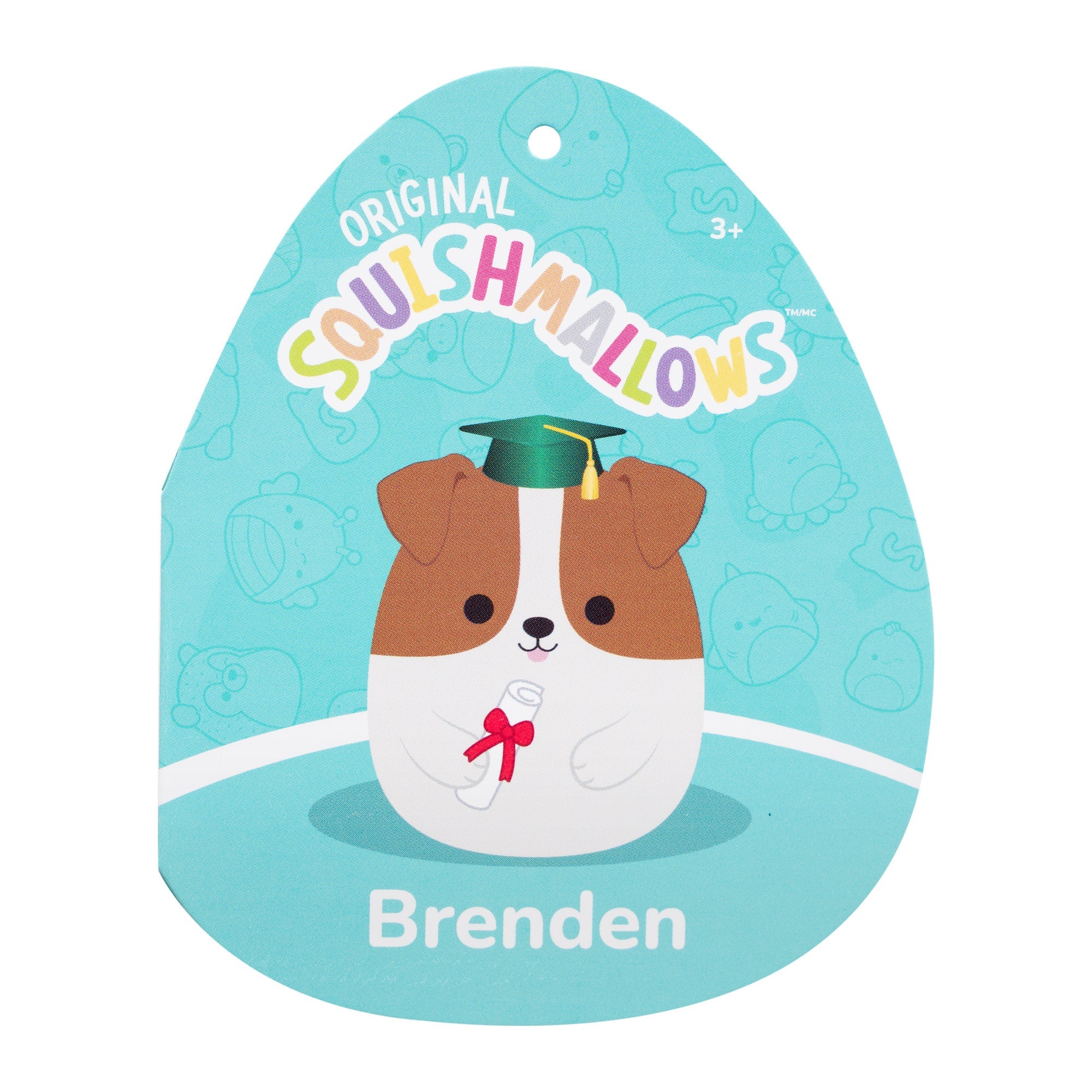 12-Inch Brenden the Jack Russell Terrier in Graduation Cap