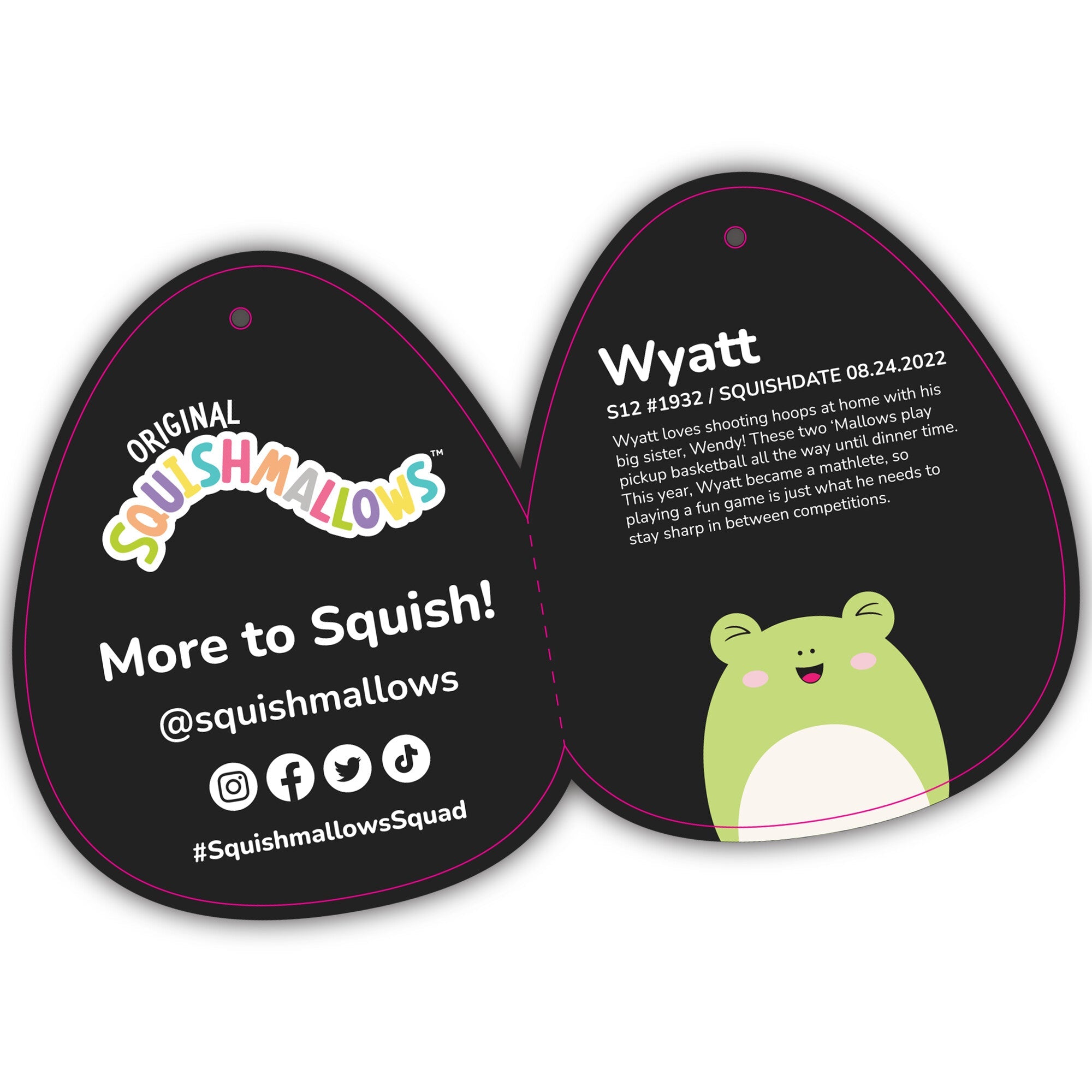 12-Inch Select Series: Wyatt the Frog